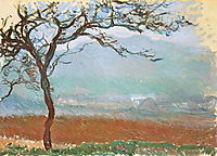 Landscape at Giverny, 1887, monet