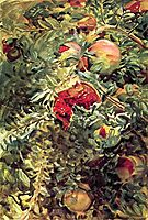 Pomegranates, 1908, sargent