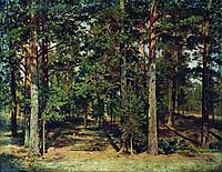 Pine forest , shishkin