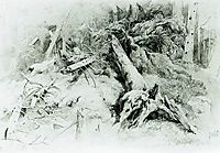 Wind Fallen Trees, 1867, shishkin